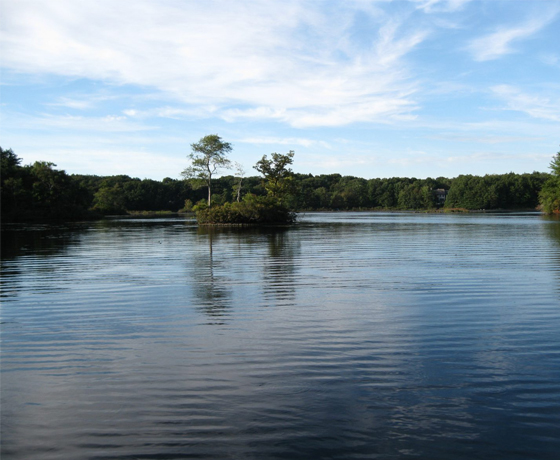 Images